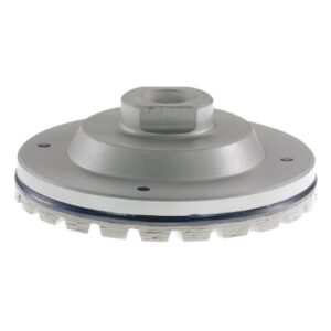 Brusni disk GW-T Special BG 100 mm